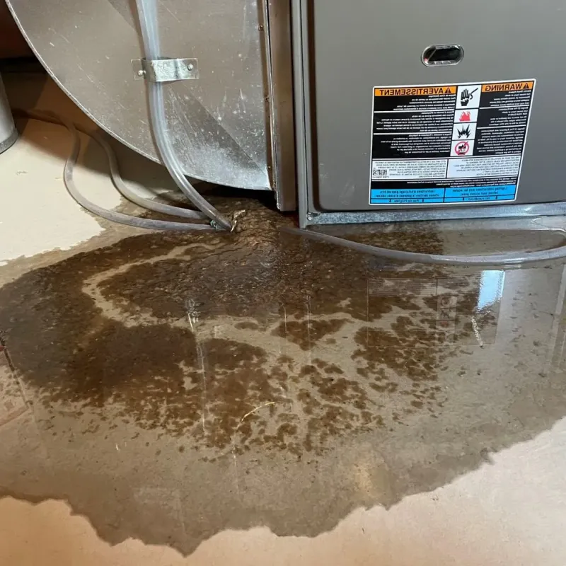 Pipe Burst and Leak Restoration in North Castle, NY